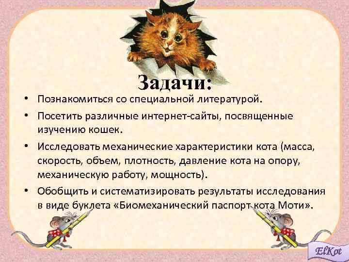 Задачи: • Познакомиться со специальной литературой. • Посетить различные интернет-сайты, посвященные изучению кошек. •