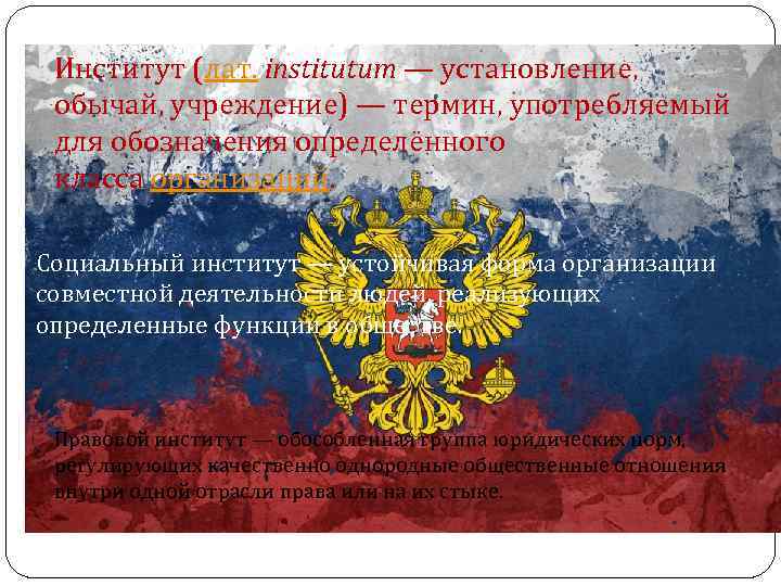 Институт (лат. institutum — установление, обычай, учреждение) — термин, употребляемый для обозначения определённого класса