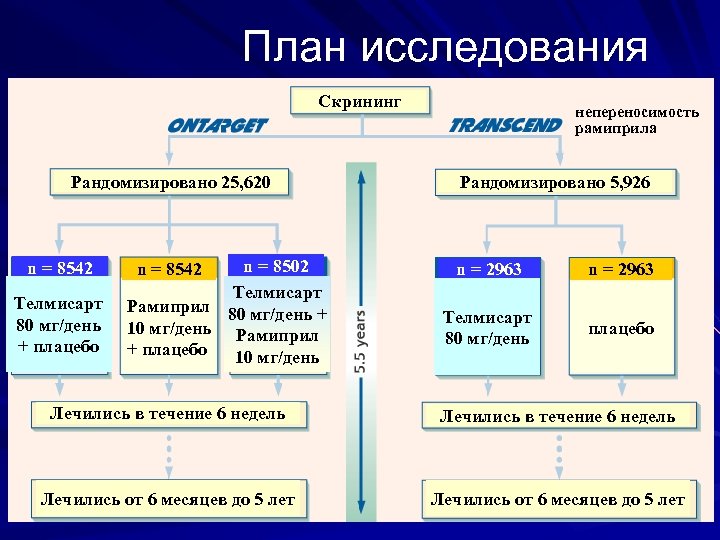 План исследования Скрининг Рандомизировано 25, 620 n = 8542 Телмисарт 80 мг/день + плацебо