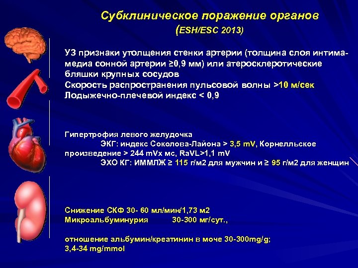 Субклиническое поражение органов (ESH/ESC 2013) УЗ признаки утолщения стенки артерии (толщина слоя интимамедиа сонной