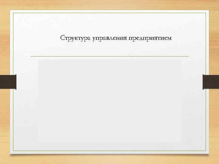 Структура управления предприятием 