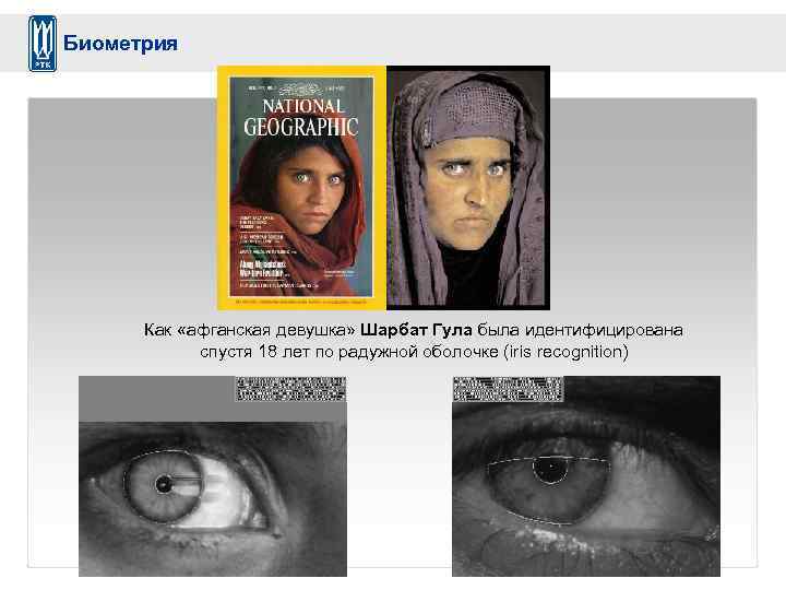 Биометрия Как «афганская девушка» Шарбат Гула была идентифицирована спустя 18 лет по радужной оболочке