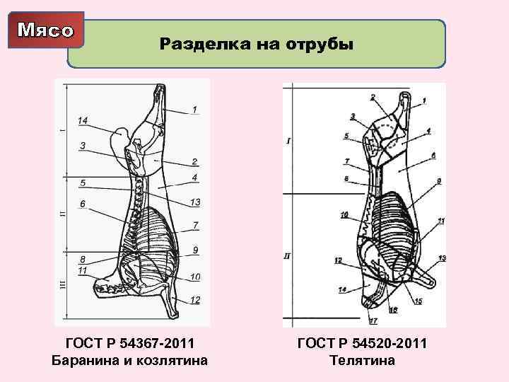 Мясо Разделка на отрубы ГОСТ Р 54367 -2011 Баранина и козлятина ГОСТ Р 54520