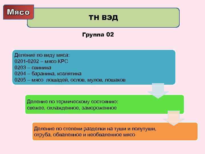 Мясо ТН ВЭД Группа 02 Деление по виду мяса: 0201 -0202 – мясо КРС