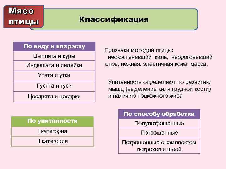 Мясо птицы Классификация По виду и возрасту Цыплята и куры Индюшата и индейки Признаки