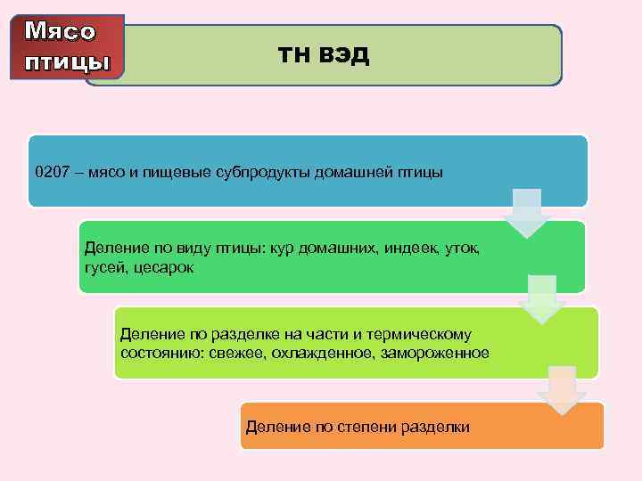 Мясо птицы ТН ВЭД 0207 – мясо и пищевые субпродукты домашней птицы Деление по