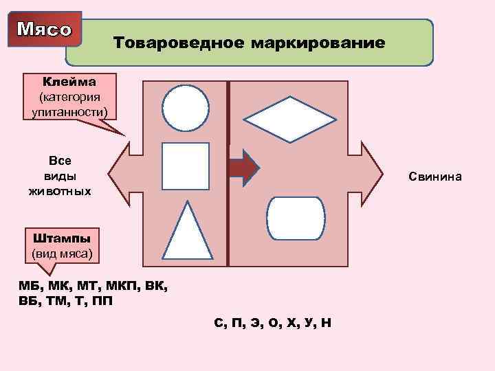 Мясо Товароведное маркирование Клейма (категория упитанности) Все виды животных Свинина Штампы (вид мяса) МБ,