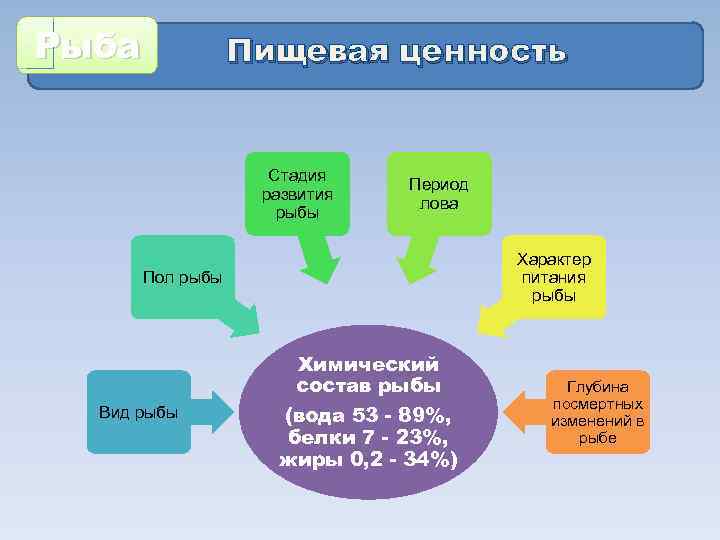 Рыба Пищевая ценность Стадия развития рыбы Период лова Характер питания рыбы Пол рыбы Химический