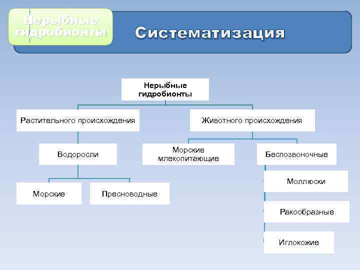 Классификация морепродуктов схема