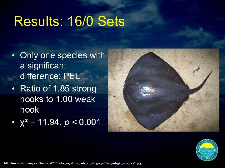 Results: 16/0 Sets • Only one species with a significant difference: PEL • Ratio