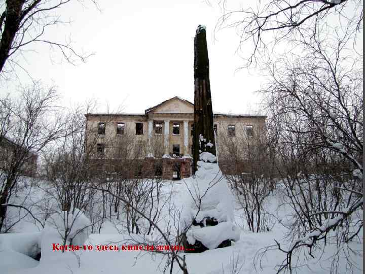 Когда-то здесь кипела жизнь… 