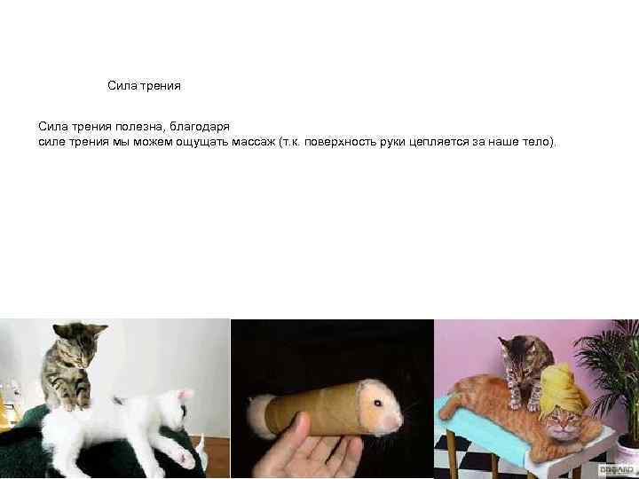 Сила трения полезна, благодаря силе трения мы можем ощущать массаж (т. к. поверхность руки