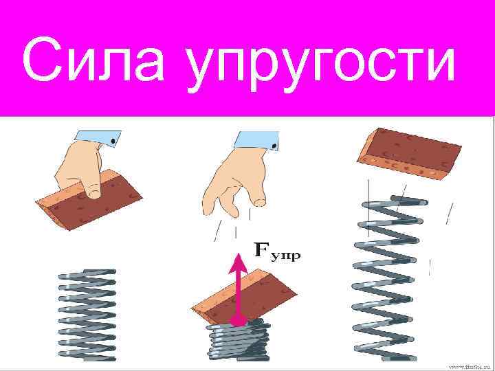 Исследование силы упругости 7 класс