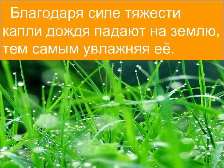 Благодаря силе тяжести капли дождя падают на землю, тем самым увлажняя её. 