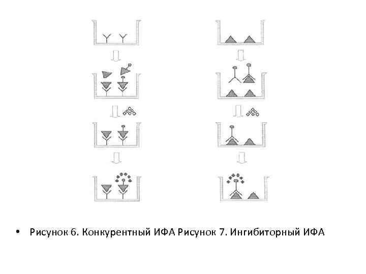  • Рисунок 6. Конкурентный ИФА Рисунок 7. Ингибиторный ИФА 