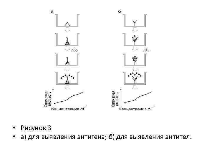  • Рисунок 3 • а) для выявления антигена; б) для выявления антител. 