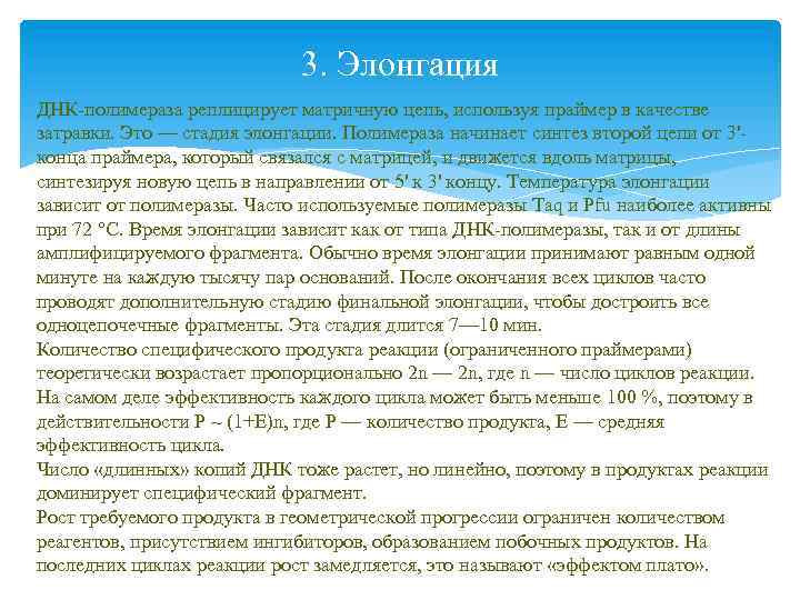 3. Элонгация ДНК-полимераза реплицирует матричную цепь, используя праймер в качестве затравки. Это — стадия