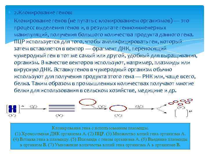 Клонирование гена картинки