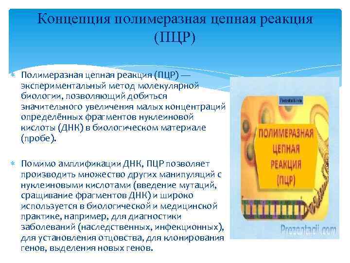 Концепция полимеразная цепная реакция (ПЦР) Полимеразная цепная реакция (ПЦР) — экспериментальный метод молекулярной биологии,