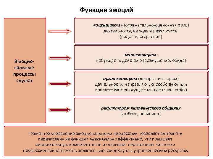 Функции эмоций «оценщиком» (отражательно-оценочная роль) деятельности, ее хода и результатов (радость, огорчение) Эмоциональные процессы