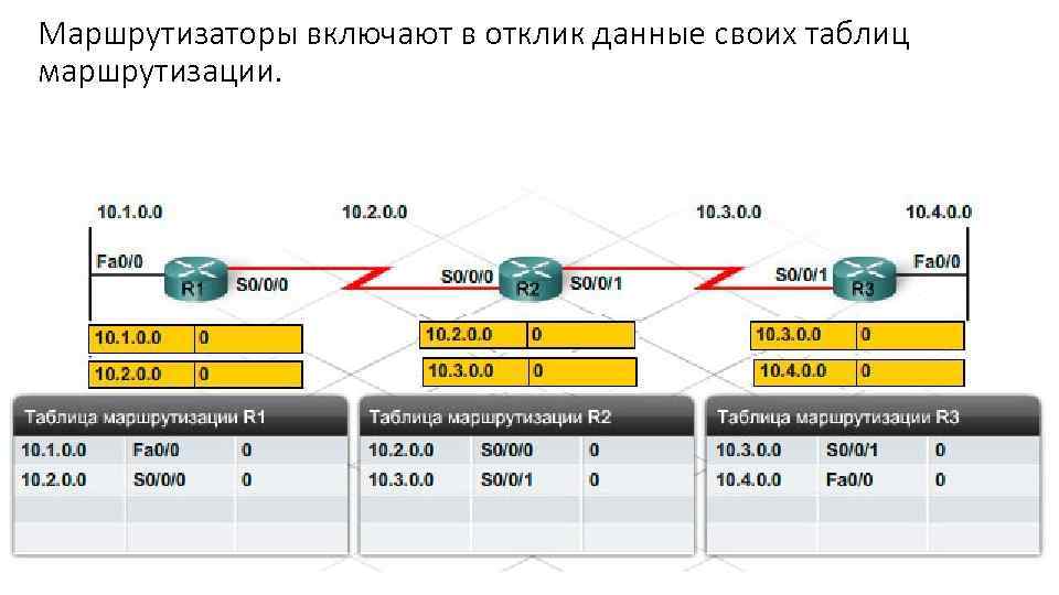 Маршрутизаторы включают в отклик данные своих таблиц маршрутизации. 