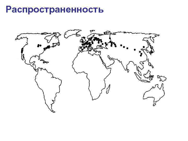 Распространенность 