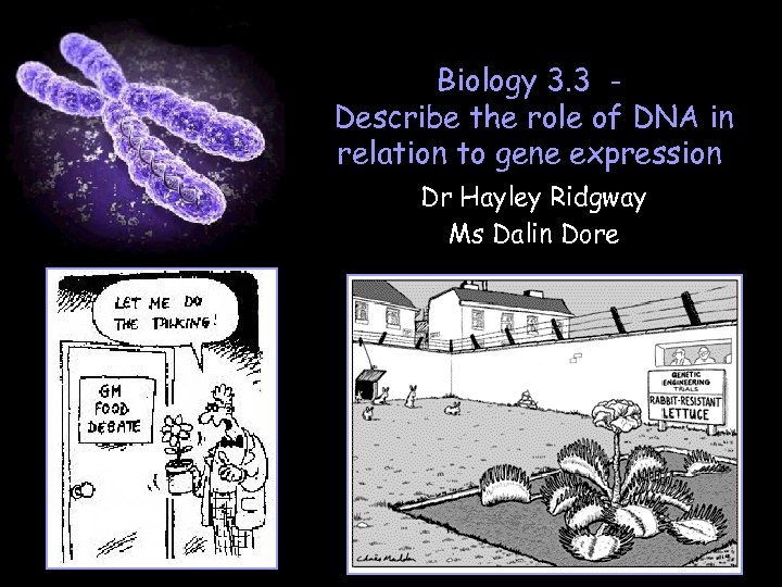 Biology 3. 3 Describe the role of DNA in relation to gene expression Dr