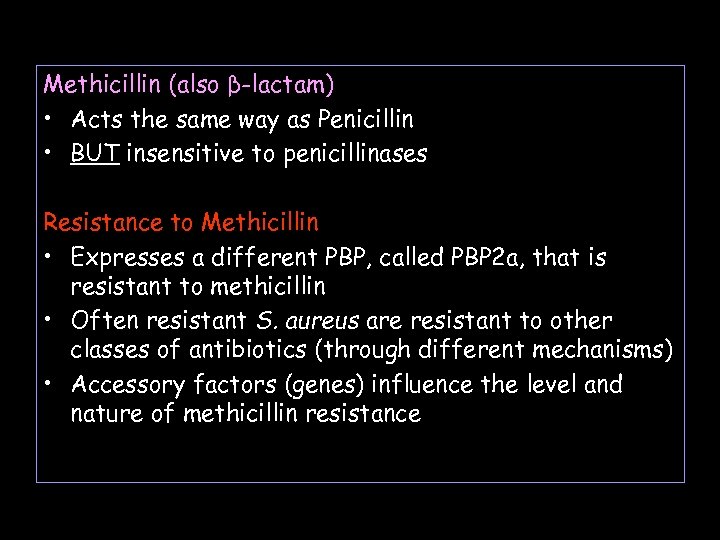 Methicillin (also β-lactam) • Acts the same way as Penicillin • BUT insensitive to