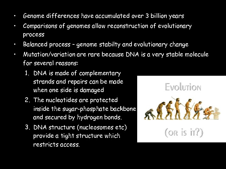  • Genome differences have accumulated over 3 billion years • Comparisons of genomes