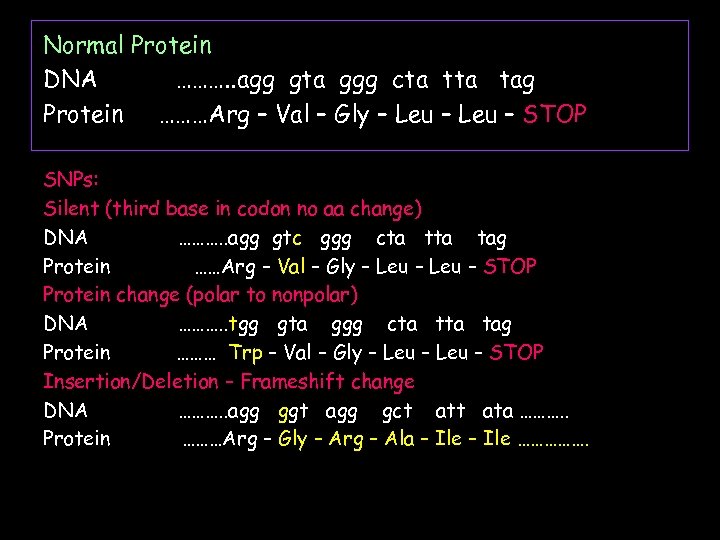 Normal Protein DNA ………. . agg gta ggg cta tag Protein ………Arg – Val