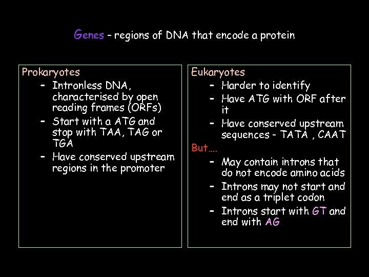 Genes – regions of DNA that encode a protein Prokaryotes – Intronless DNA, characterised