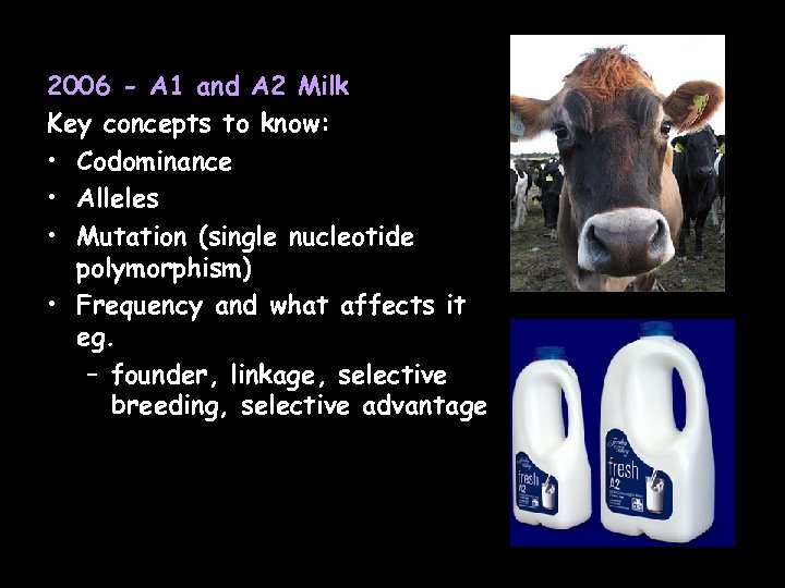 2006 - A 1 and A 2 Milk Key concepts to know: • Codominance