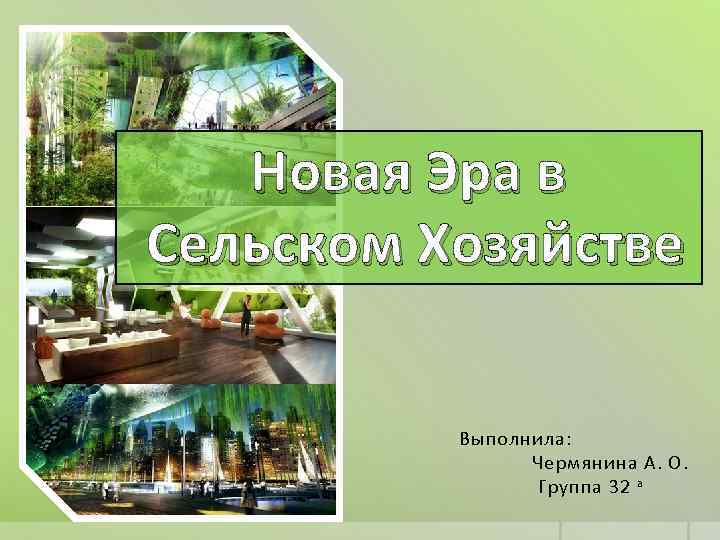 Новая Эра в Сельском Хозяйстве Выполнила: Чермянина А. О. Группа 32 а 