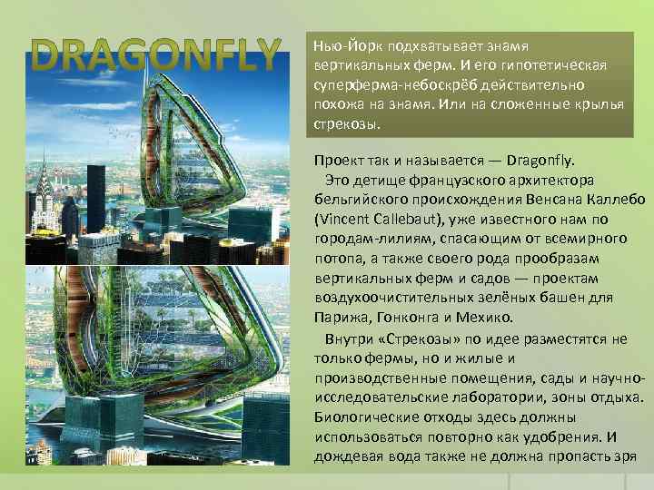 Нью-Йорк подхватывает знамя вертикальных ферм. И его гипотетическая суперферма-небоскрёб действительно похожа на знамя. Или