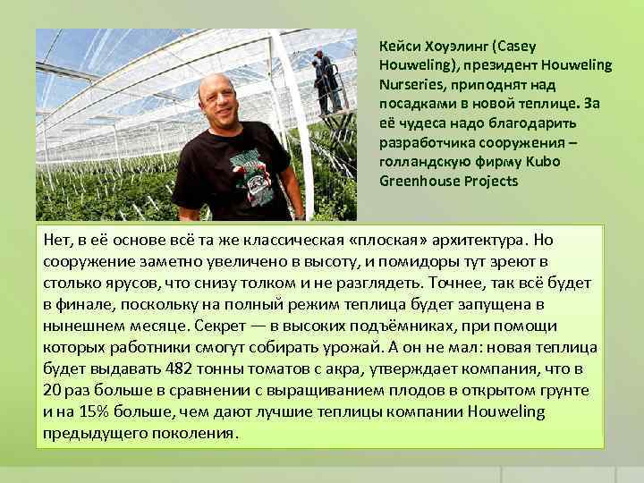 Кейси Хоуэлинг (Casey Houweling), президент Houweling Nurseries, приподнят над посадками в новой теплице. За