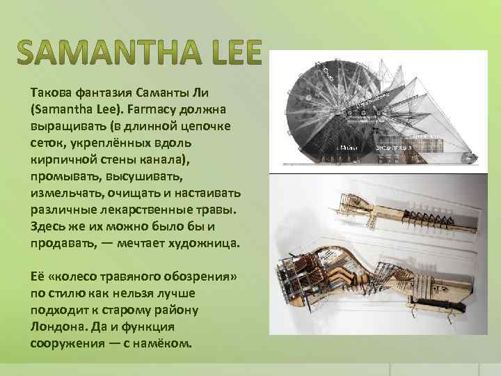 Такова фантазия Саманты Ли (Samantha Lee). Farmacy должна выращивать (в длинной цепочке сеток, укреплённых