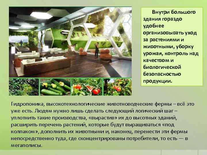 Внутри большого здания гораздо удобнее организовывать уход за растениями и животными, уборку урожая, контроль