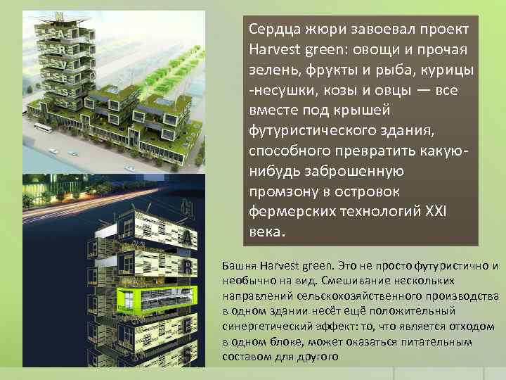 Сердца жюри завоевал проект Harvest green: овощи и прочая зелень, фрукты и рыба, курицы