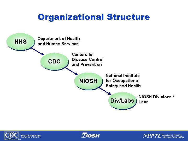 Organizational Structure HHS Department of Health and Human Services CDC Centers for Disease Control