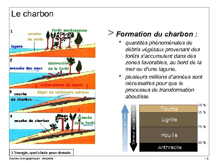 Le charbon > Formation du charbon : • • quantités phénoménales de débris végétaux