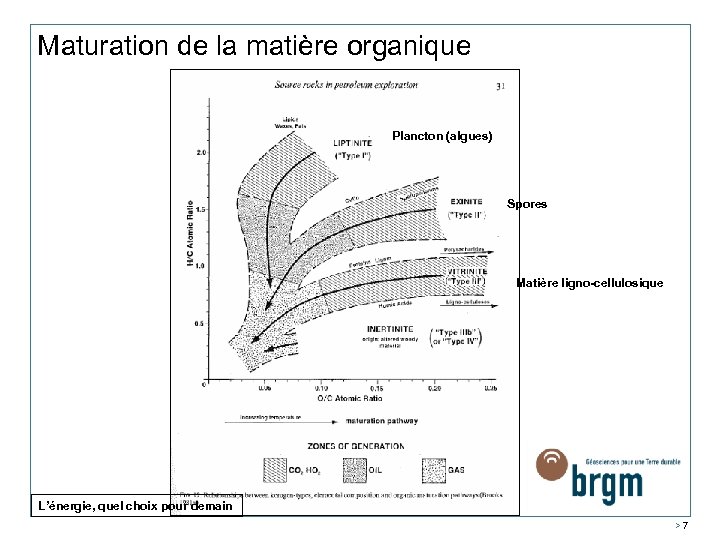 Maturation de la matière organique Plancton (algues) Spores Matière ligno-cellulosique L’énergie, quel choix pour