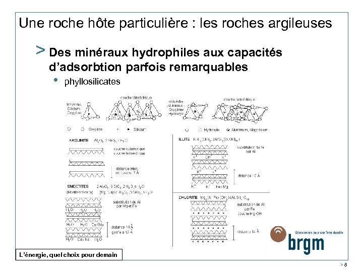 Une roche hôte particulière : les roches argileuses > Des minéraux hydrophiles aux capacités
