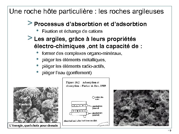 Une roche hôte particulière : les roches argileuses > Processus d’absorbtion et d’adsorbtion •