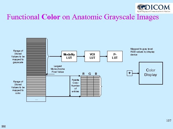 Functional Color on Anatomic Grayscale Images Range of Stored Values to be mapped to