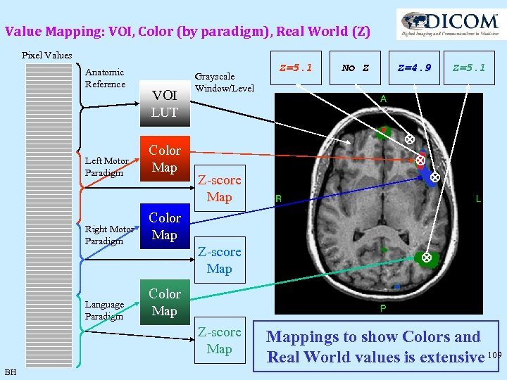 Value Mapping: VOI, Color (by paradigm), Real World (Z) Pixel Values Anatomic Reference VOI