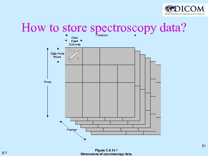 How to store spectroscopy data? 81 KV 