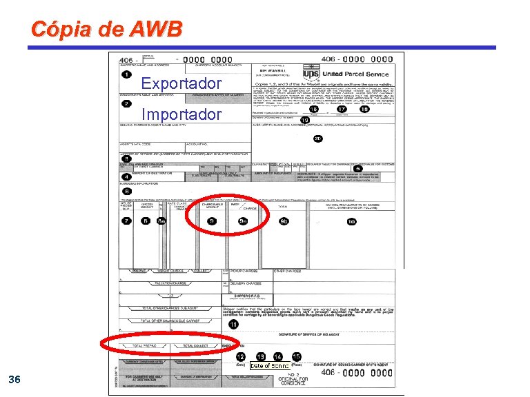 Cópia de AWB Exportador Importador 36 