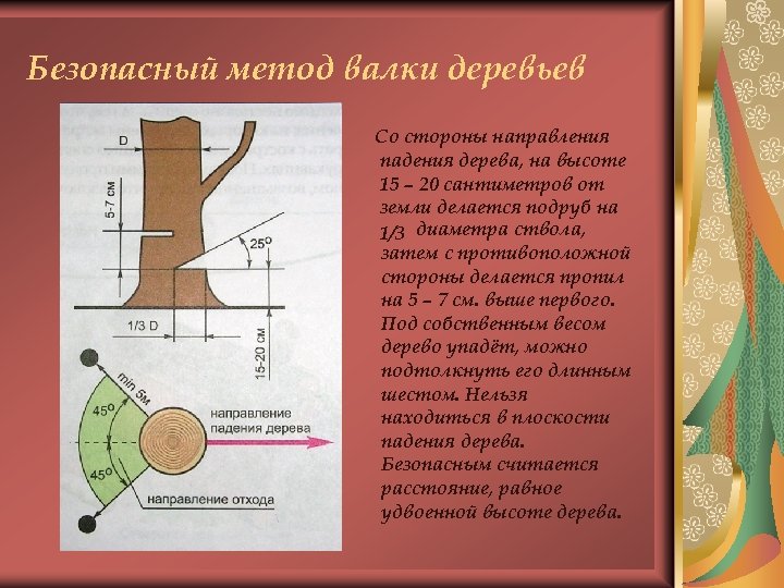 Схема спила дерева бензопилой