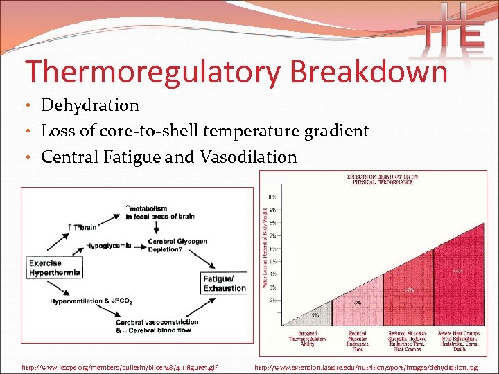 Thermoregulatory Breakdown • Dehydration • Loss of core-to-shell temperature gradient • Central Fatigue and