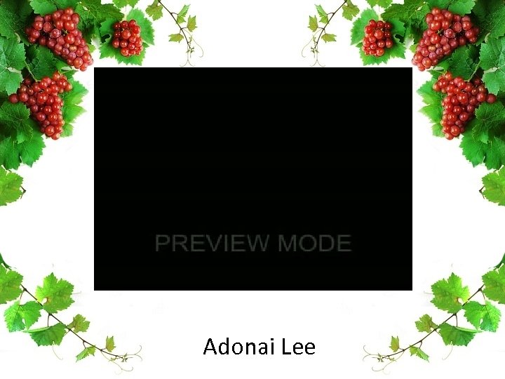 Adonai Lee 